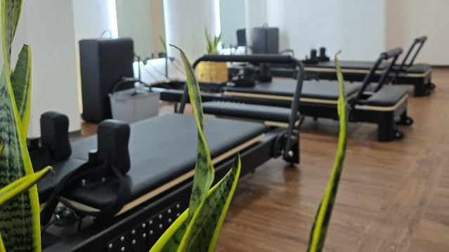 Imagen 1 de la galería del partner Plena Studio