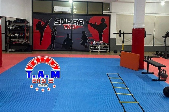 Imagen 1 de la galería del partner Supra TKD Veracruz