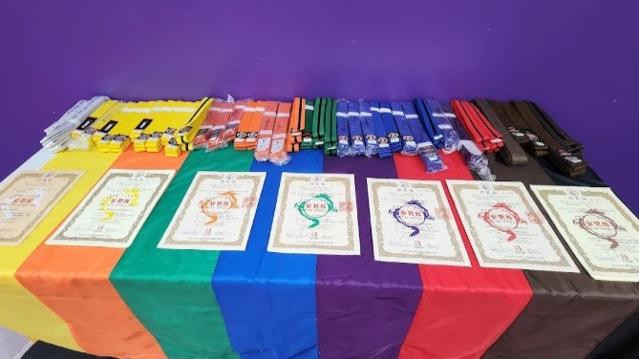 Image 3 de la galerie du partenaire Purple Dragon Martial Arts- North York