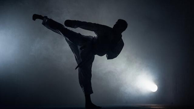 Image 1 de la galerie du partenaire Purple Dragon Martial Arts- North York