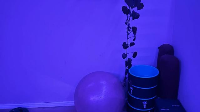 Imagem 2 da galeria do parceiro Vibe Zen Nutri