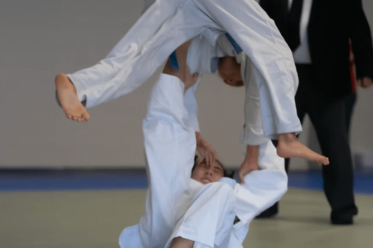 Image 3 from Lincoln Martial Arts Center - Sho Rei . partner gallery