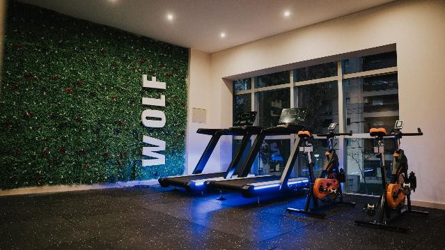 Imagen 1 de la galería del partner Wolf Gym Sexta