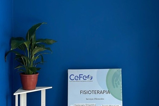 Imagem 3 da galeria do parceiro Cefeo Fisioterapia & Pilates