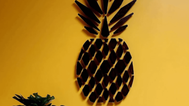 Image 3 from South County Fitness partner gallery