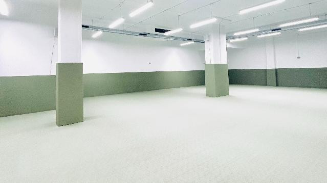 Imagen 1 de la galería del partner Gullo Jiu-Jitsu Almar (Port Olímpic)