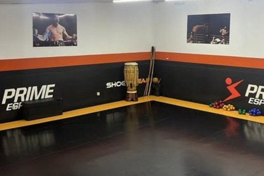 Imagem 3 da galeria do parceiro Shogun Team Cuiabá