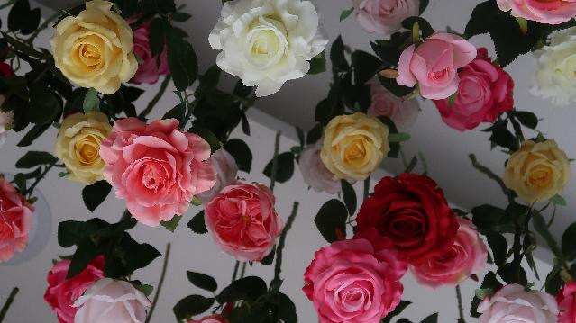 Imagen 1 de la galería del partner Blumette Studio