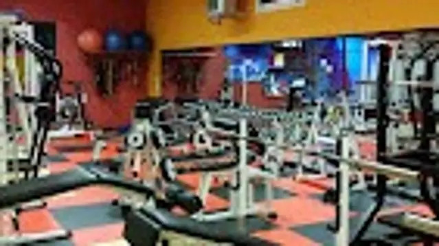 Immagine 1 dalla galleria del partner Gold Gym Riva