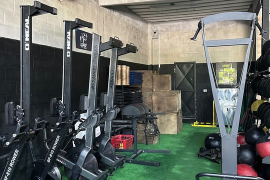 Imagem 3 da galeria do parceiro Lizards Cross