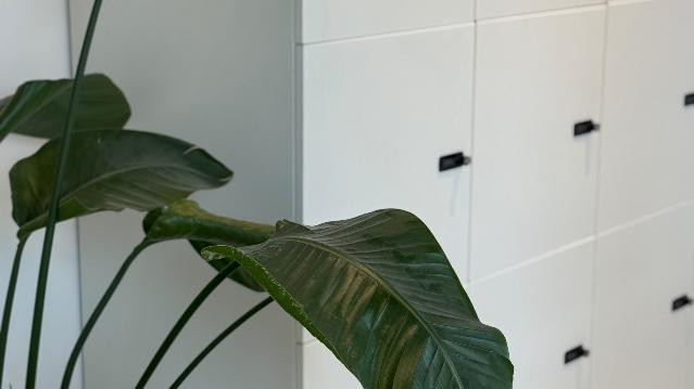 Bild 3 von SPRING SOCIETY Matness Studio Stuttgar Partnergalerie