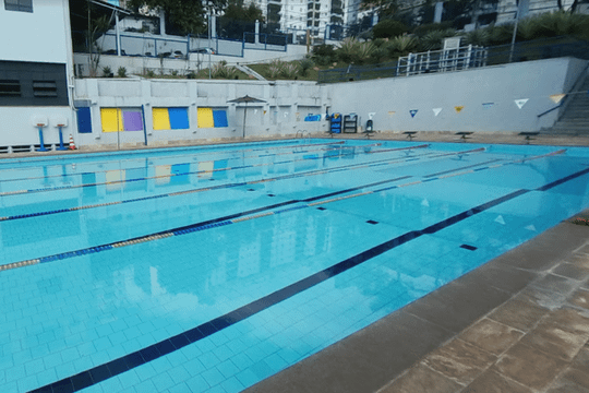 Imagem 1 da galeria do parceiro Pe de Pato