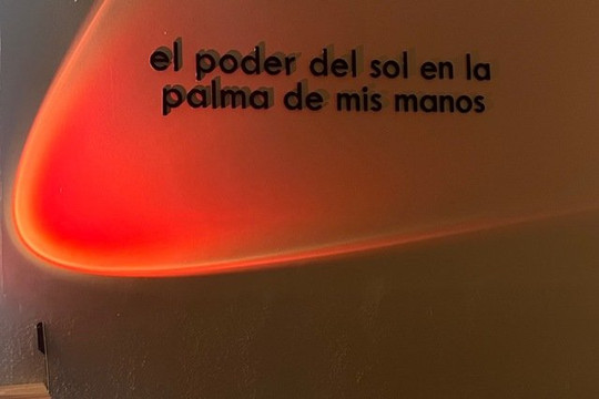 Imagen 3 de la galería del partner Soare Studio