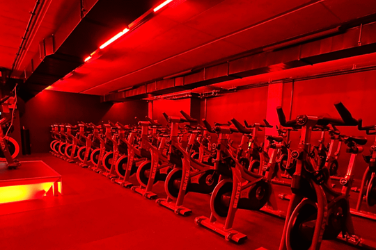 Bild 3 von BEAT81 - Nippes RIDE Partnergalerie