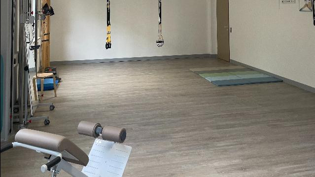 Bild 1 von Soulworker in der Physiotherapie Praxis Ritterbeck Partnergalerie