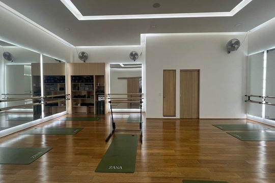 Imagen 1 de la galería del partner Zänä Studio Barre & Yoga