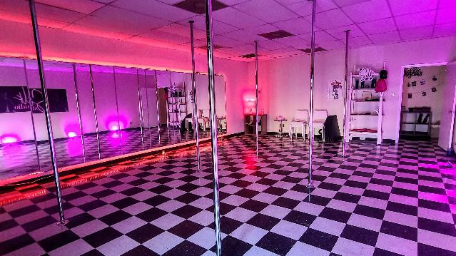 Image 1 from Silk Studio Houston partner gallery