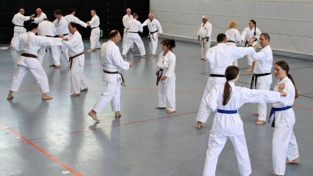Bild 1 von GoJu-Kai-DoJo Heilbronn e.V. Partnergalerie