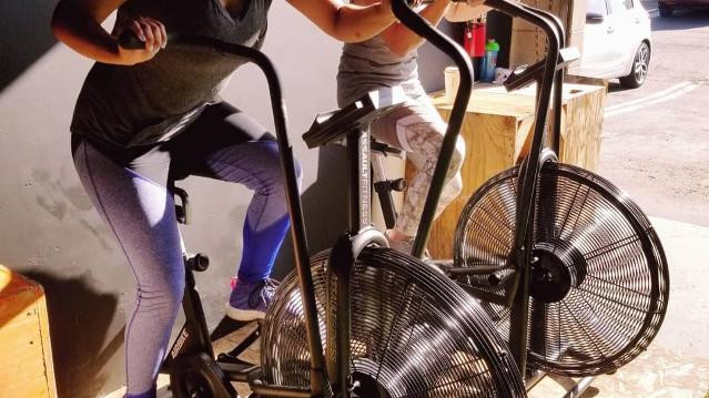 Image 3 from Animal Fitness partner gallery