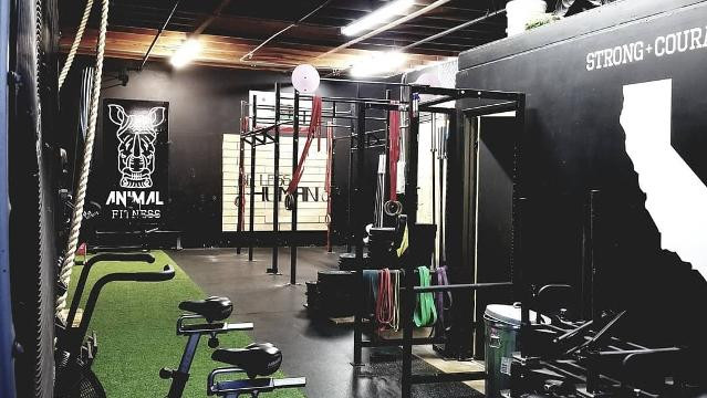 Image 1 from Animal Fitness partner gallery