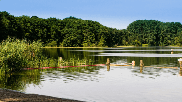 Bild 1 von NaturBad Eichholz/Kleiner See Partnergalerie