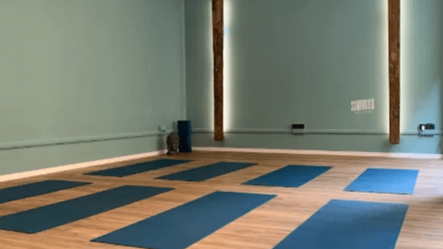 Immagine 1 dalla galleria del partner Samvega Yoga Studio - Sansa