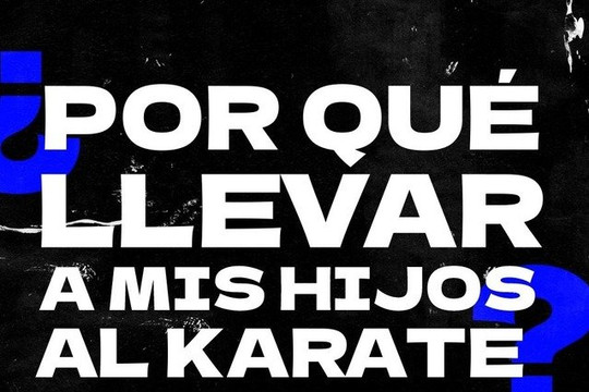 Imagen 1 de la galería del partner Karate Premier Carretera Nac