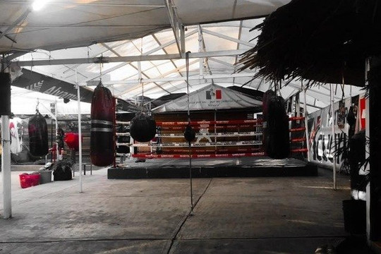Imagen 1 de la galería del partner Escuela de Boxeo MartInez