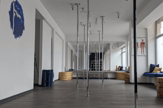 Bild 1 von Stargazer 22 - Dein Studio für Pole, Aerial & Yoga Partnergalerie