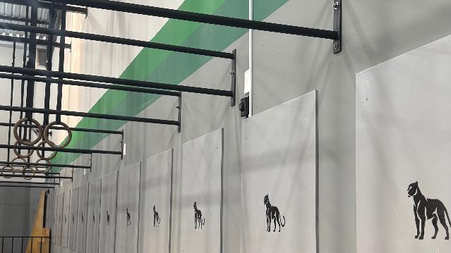 Imagem 1 da galeria do parceiro CT JUNGLE