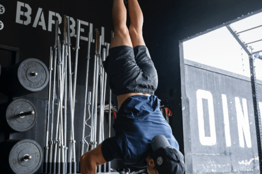 Imagen 3 de la galería del partner Navy Training Center Juriquilla