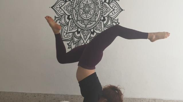 Imagen 3 de la galería del partner Shala 11