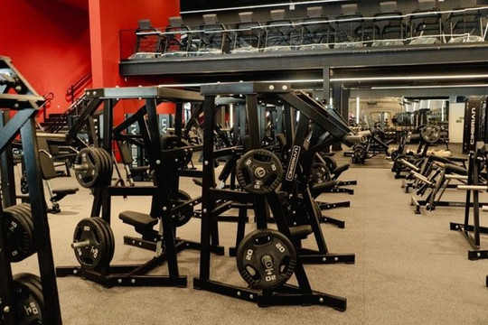 Imagem 3 da galeria do parceiro Drako Gleba