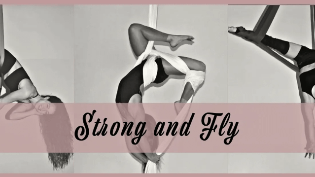 Image 1 from Strong and Fly partner gallery
