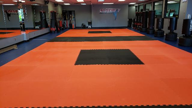 Image 1 from Synergy Martial Arts partner gallery