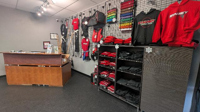 Image 3 from Synergy Martial Arts partner gallery