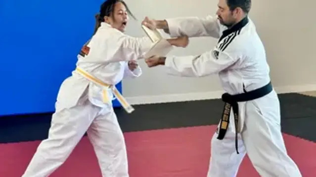 Image 1 from Black Dragon Tae Kwon Do partner gallery