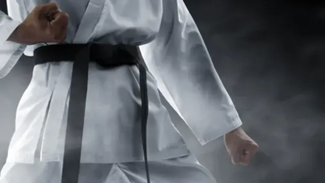Image 2 from Black Dragon Tae Kwon Do partner gallery