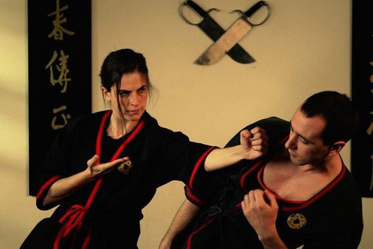 Bild 1 von Wing Tsun Kampfkunstschule Hannover Partnergalerie
