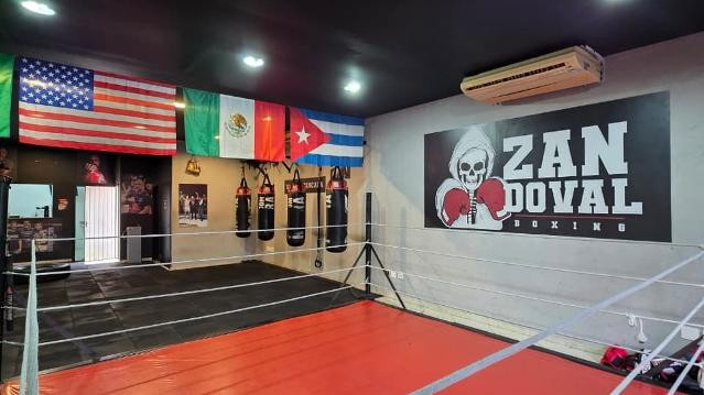 Imagem 1 da galeria do parceiro Zandoval Boxing