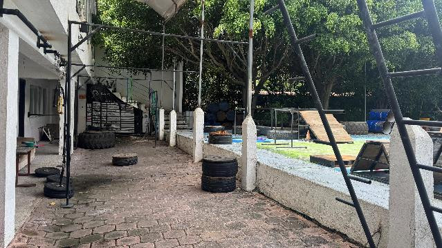 Imagen 2 de la galería del partner Ronin Calistenia