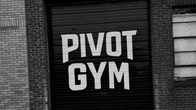 Image 2 from Pivot Gym partner gallery
