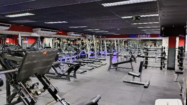 Imagem 3 da galeria do parceiro Selfit - Mag Shopping