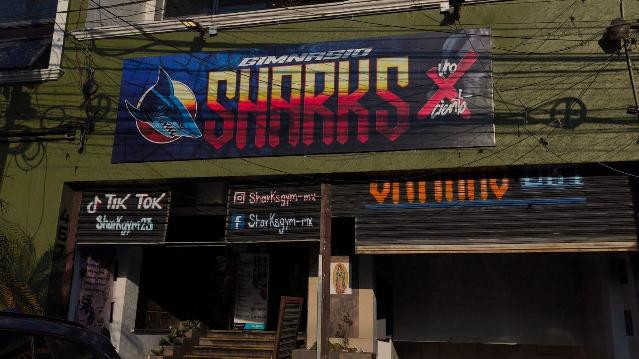 Imagen 2 de la galería del partner Shark`s Gym