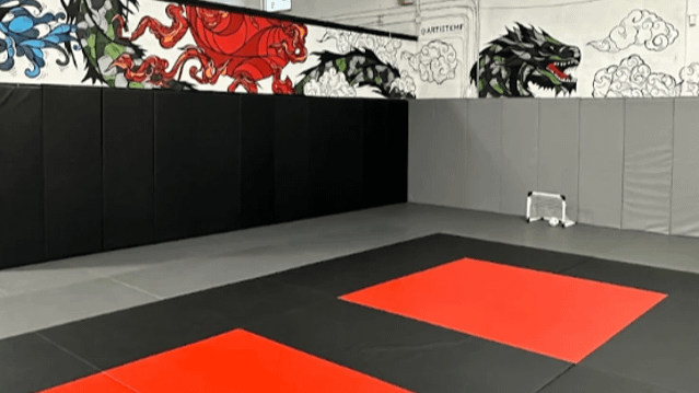 Image 3 from Alpha Miami Grappling South partner gallery