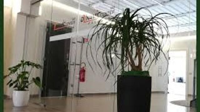 Immagine 2 dalla galleria del partner Dynamic Center Fitness