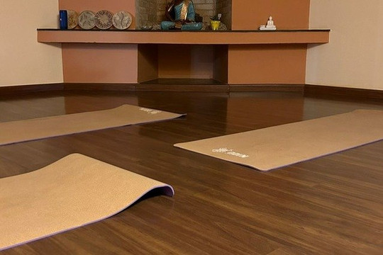 Imagem 1 da galeria do parceiro Solo da Cultiva