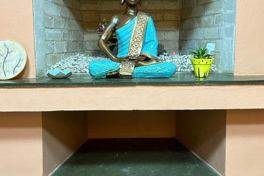 Imagem 3 da galeria do parceiro Solo da Cultiva