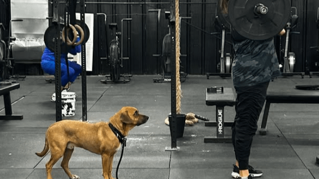 Image 3 from Grit City Boxing & Fitness partner gallery