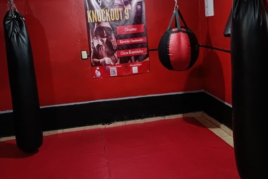 Imagen 2 de la galería del partner Knockout 9